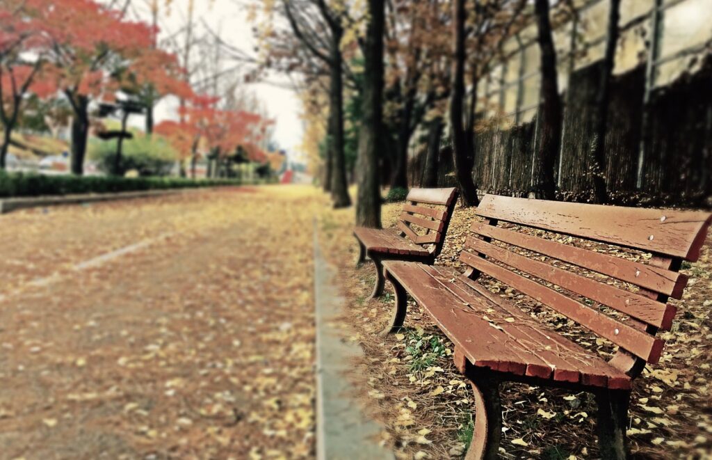 empty park benches in Autumn